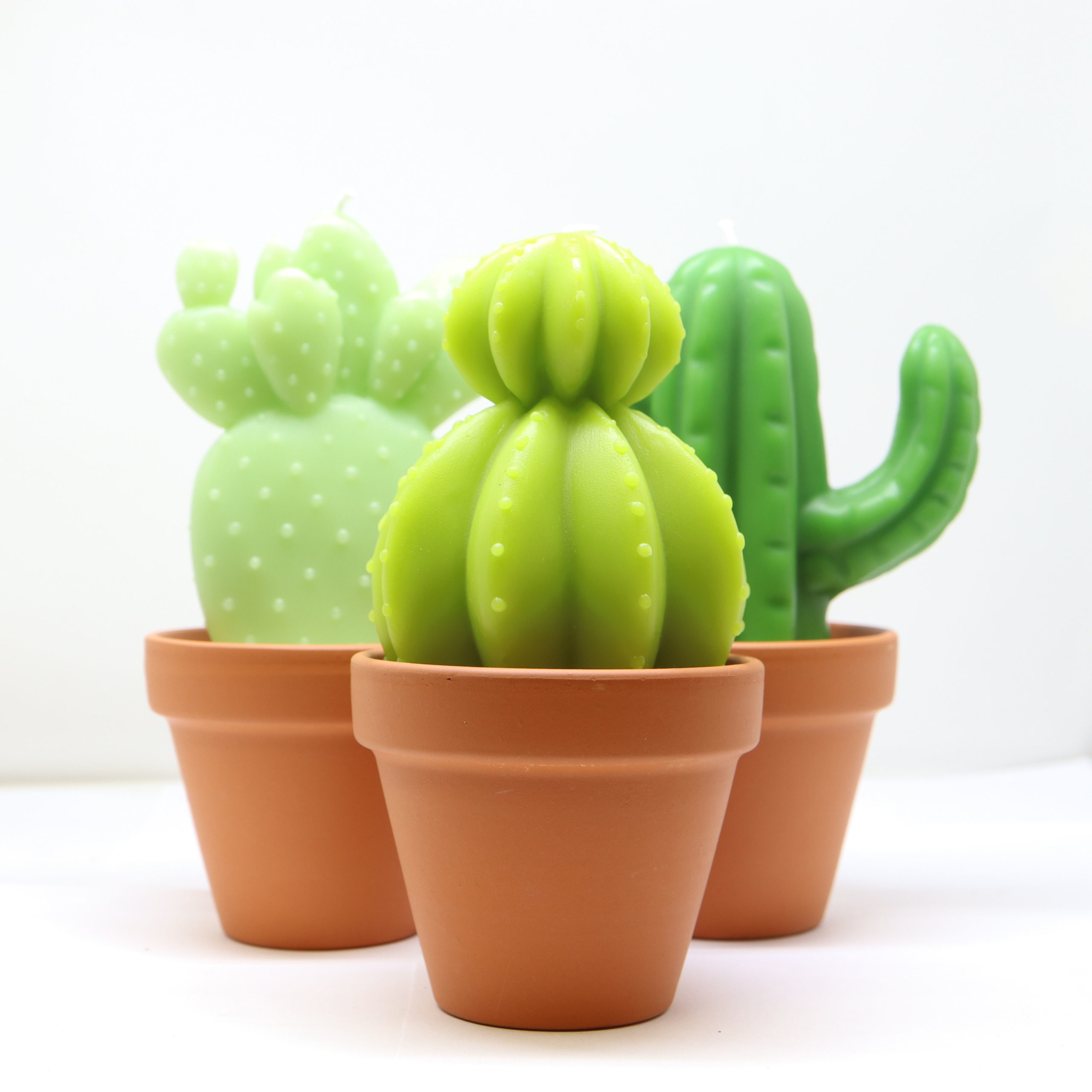 bougie cactus