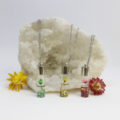 Collier fiole de nature